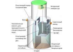 Панда Кинг 30